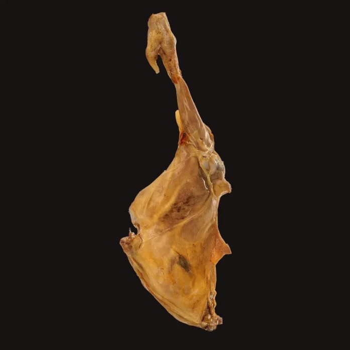Lechazo Pre-Asado