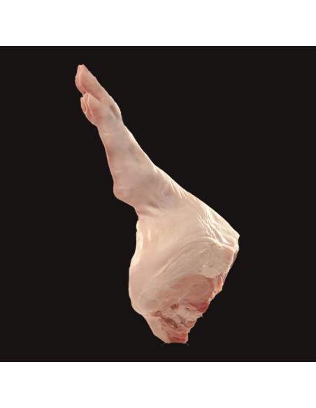 Jamoncito de cochinillo de Segovia