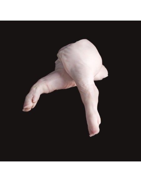 Jamoncito de cochinillo de Segovia