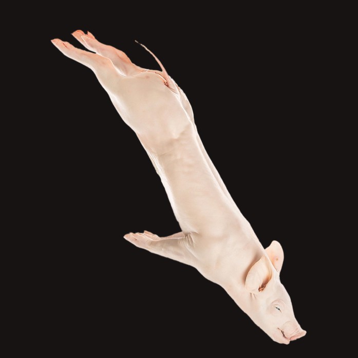 Choninillo entero IGP | Carnicería Online | Envío Gratuito