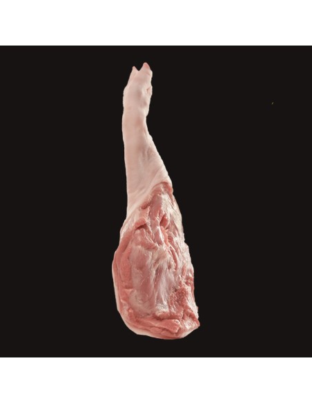 Comprar Paletilla de Cochinillo Online | Arcecarne.es Comprar Paletilla de Cochinillo Online | Arcecarne.es