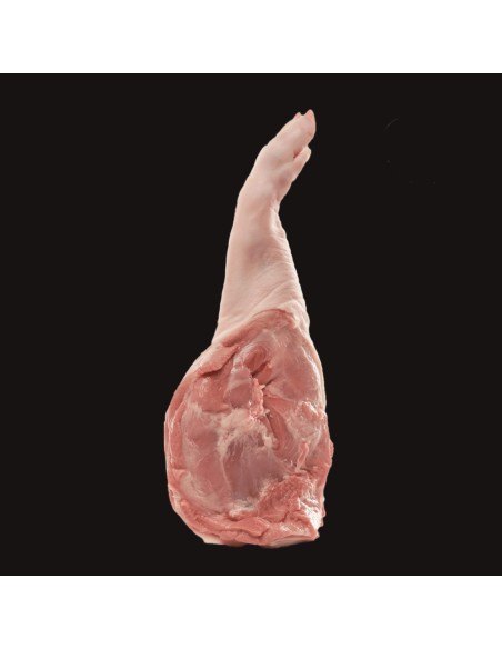 Comprar Paletilla de Cochinillo Online | Arcecarne.es Comprar Paletilla de Cochinillo Online | Arcecarne.es