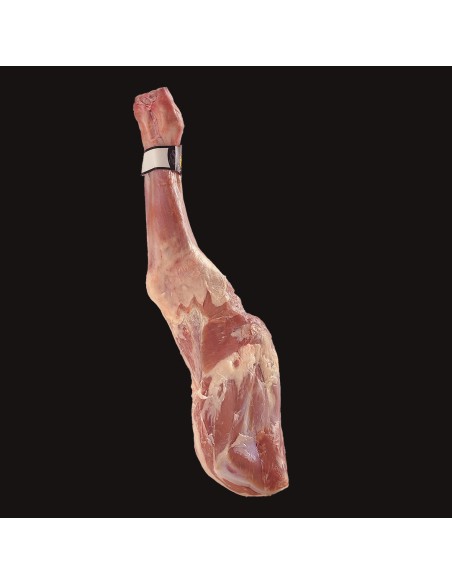 PALETILLA DE LECHAZO | Cordero Lechal de -35 días | Arcecarne.es PALETILLA DE LECHAZO | Cordero Lechal de -35 días | Arcecarne.es