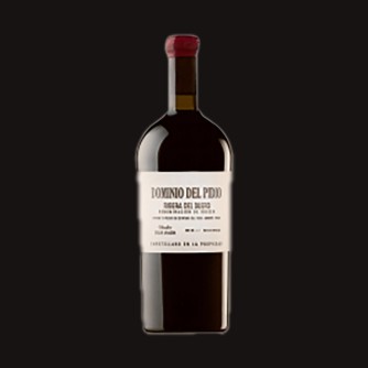 Vino Tinto Cillar de Silos Dominio Del Pidio