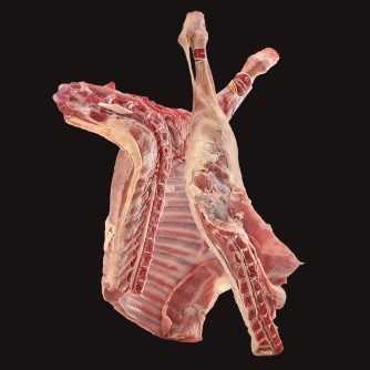 MEDIO LECHAZO | Cordero Lechal de -35 días | Arcecarne.es