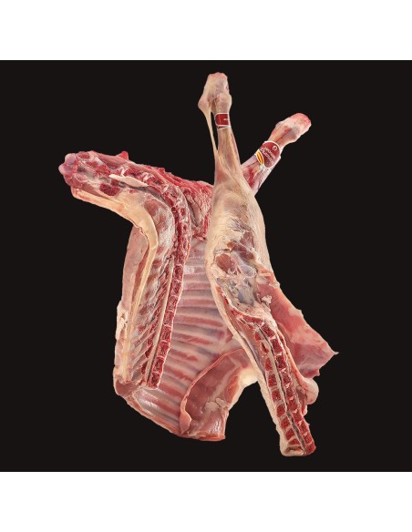 MEDIO LECHAZO | Cordero Lechal de -35 días | Arcecarne.es