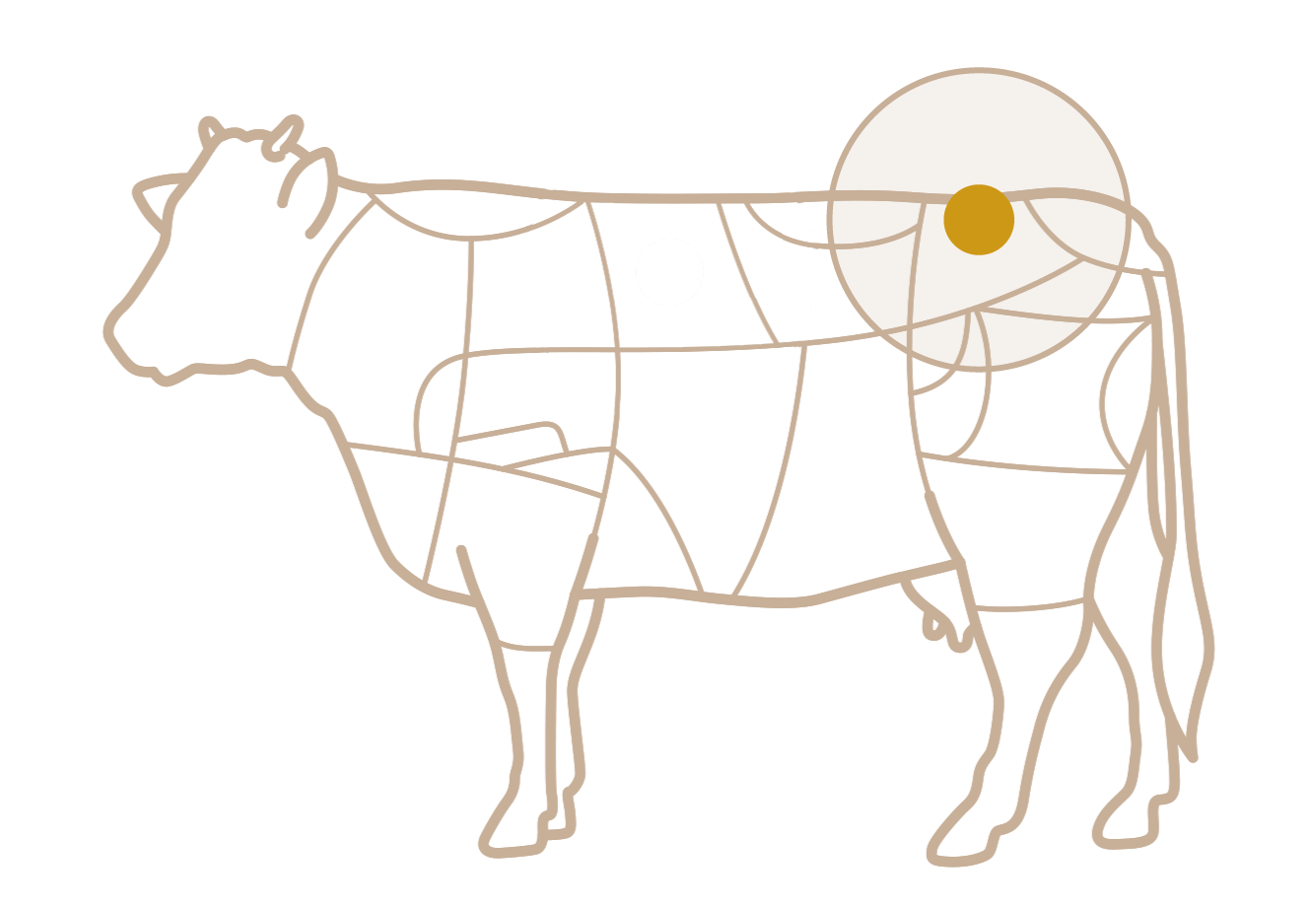 Corte de Picanha