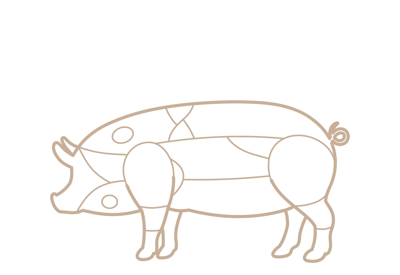 Tipo de corte de cerdo