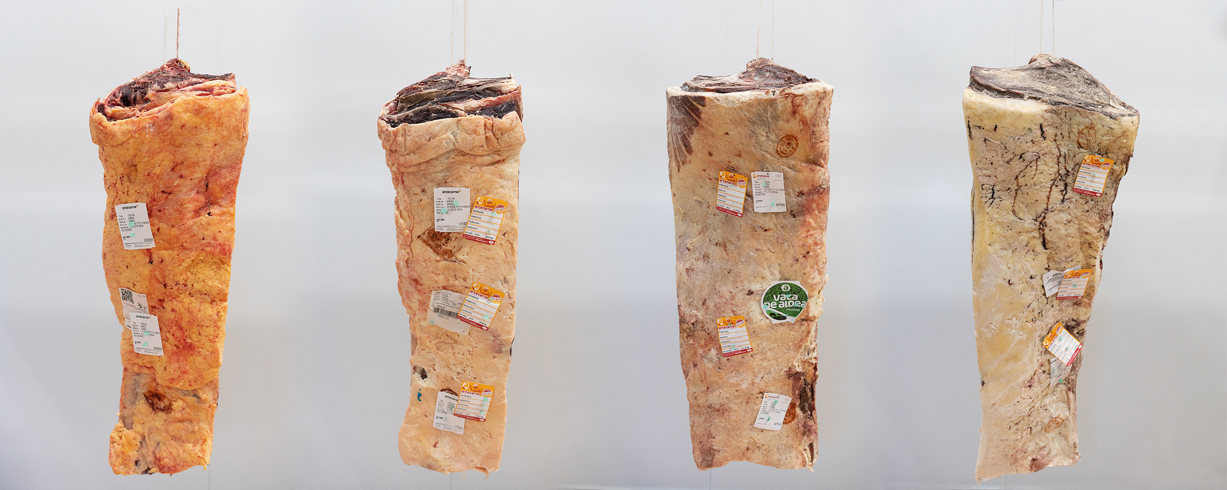 La biblia de la maduración de la carne en seco Dry Aged