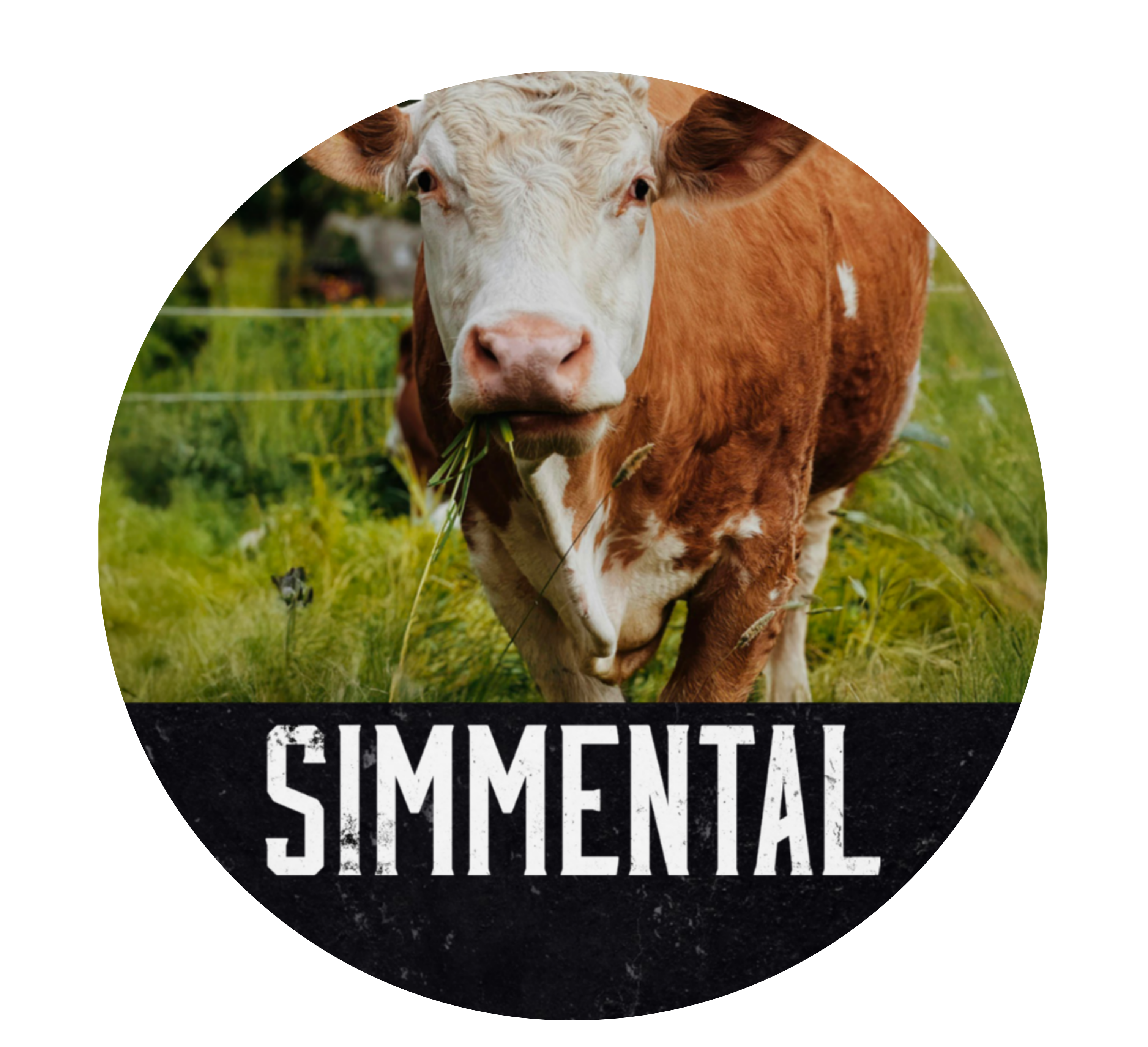 Simmental
